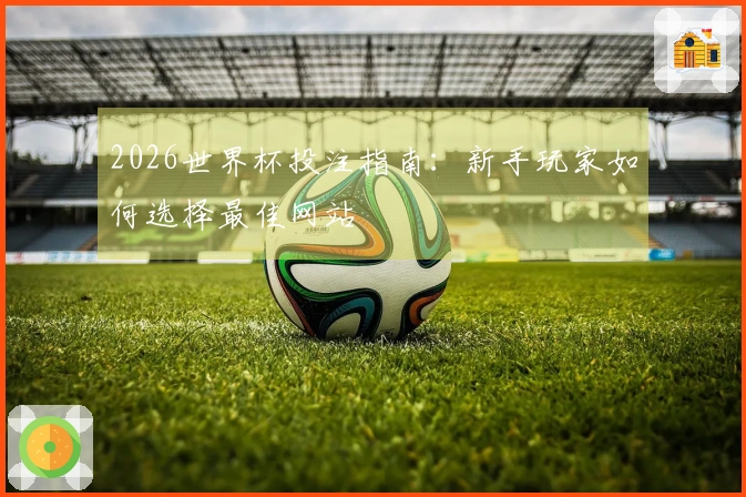 2026世界杯投注指南：新手玩家如何选择最佳网站