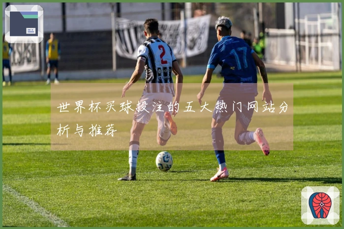 世界杯买球投注的五大热门网站分析与推荐