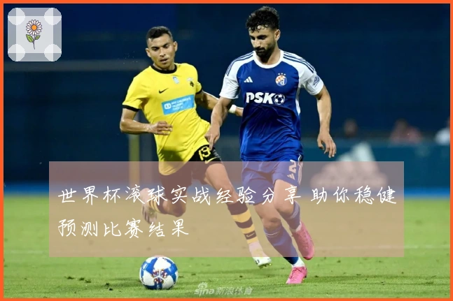 世界杯滚球实战经验分享 助你稳健预测比赛结果