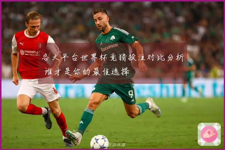 各大平台世界杯竞猜投注对比分析 谁才是你的最佳选择