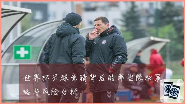 世界杯买球竞猜背后的那些隐秘策略与风险分析