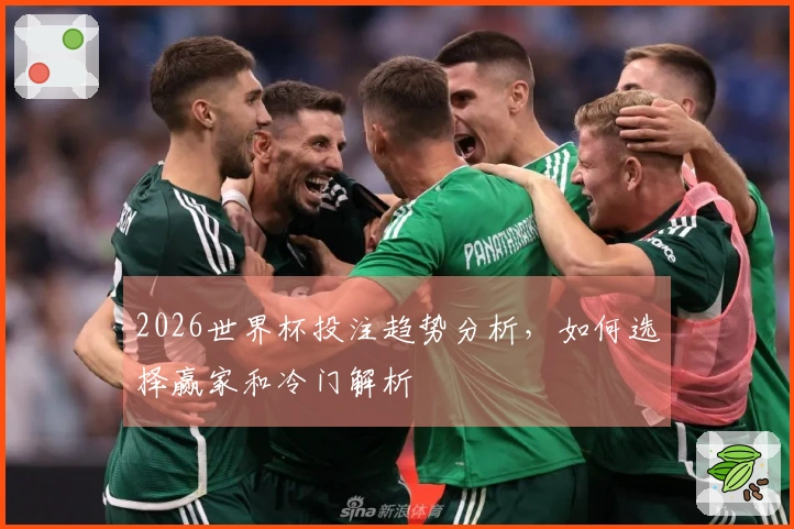 2026世界杯投注趋势分析，如何选择赢家和冷门解析