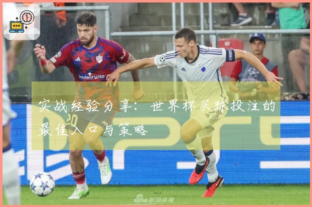 实战经验分享：世界杯买球投注的最佳入口与策略