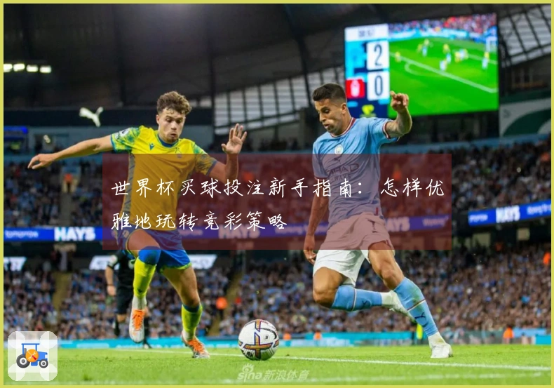 世界杯买球投注新手指南：怎样优雅地玩转竞彩策略