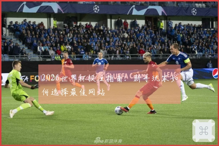 2026世界杯投注指南：新手玩家如何选择最佳网站